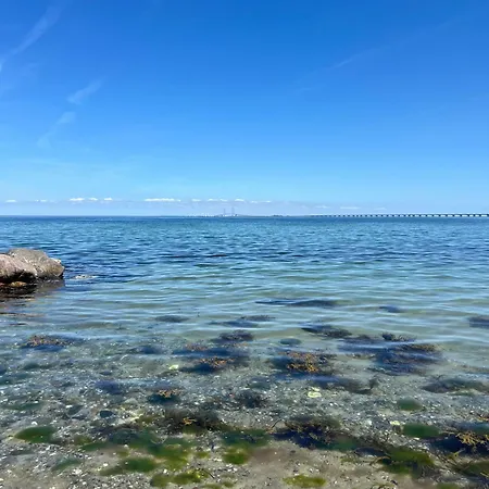 Maduco Waterfront, Rejen Nyborg