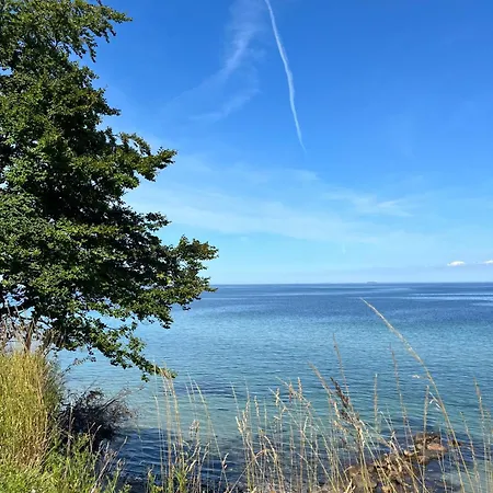 Maduco Waterfront, Rejen * Nyborg